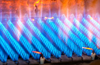 Capel Cross gas fired boilers